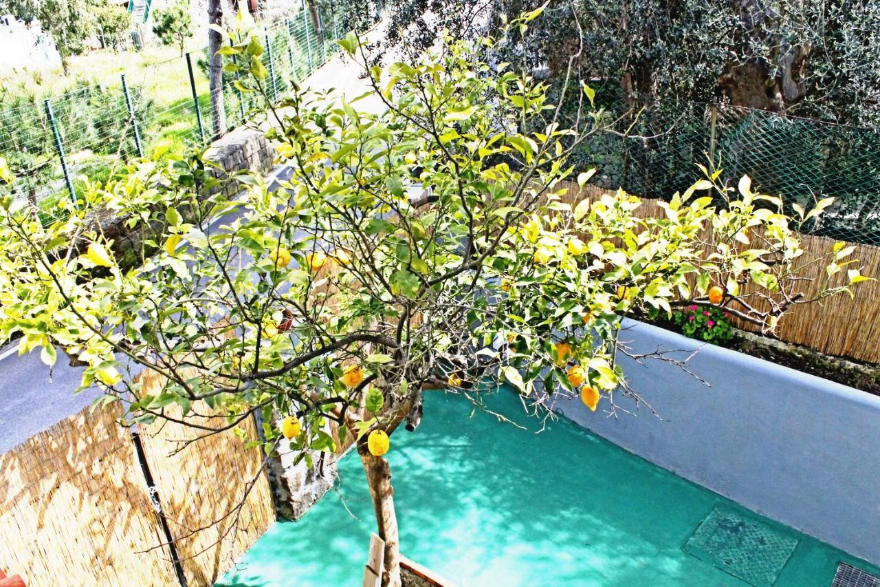 Ischiablue Apartment Forio (Isola d'Ischia)